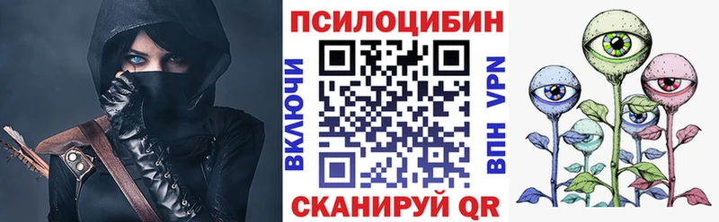 Купить  Гаджиево  Псилоцибиновые грибы Psilocybe 